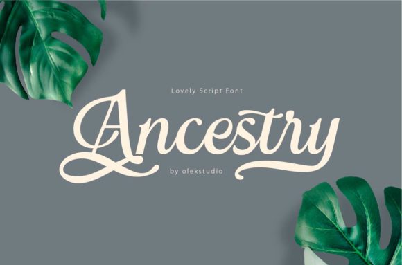 Ancestry Typeface Review for Campaign Design