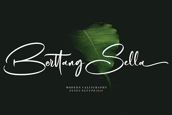 Berttang Sella: Elegant Script Handwritten Fonts for Crafters