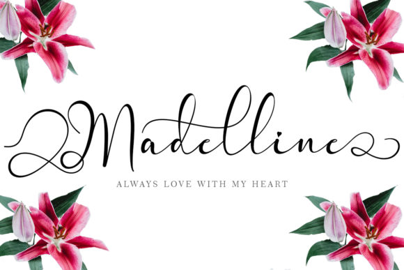 Madelline: A Delicate Script Handwritten Font for Elegant Web Design