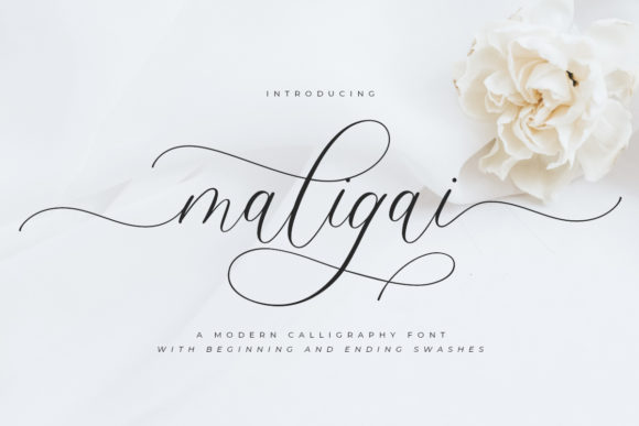 Maligai Font: A Romantic Script for Digital Branding