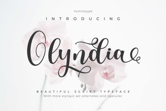 Olyndia: Elegant Handwritten Font for Boutique Branding