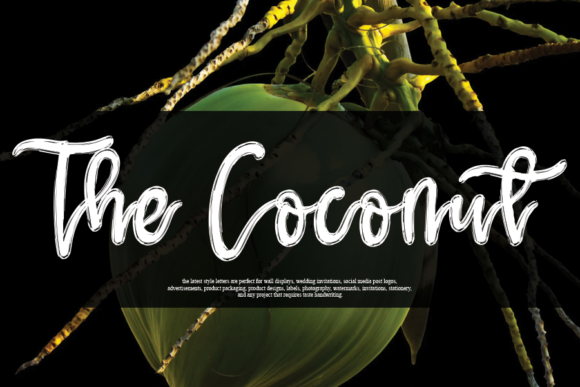 The Coconut Font: A Script Handwritten Typeface for Editorial Design